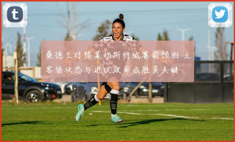桑德兰对阵莱切斯特城赛前预测 主客场状态与进攻效率成胜负关键