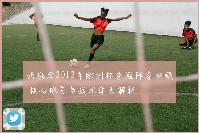 西班牙2012年欧洲杯夺冠阵容回顾 核心球员与战术体系解析