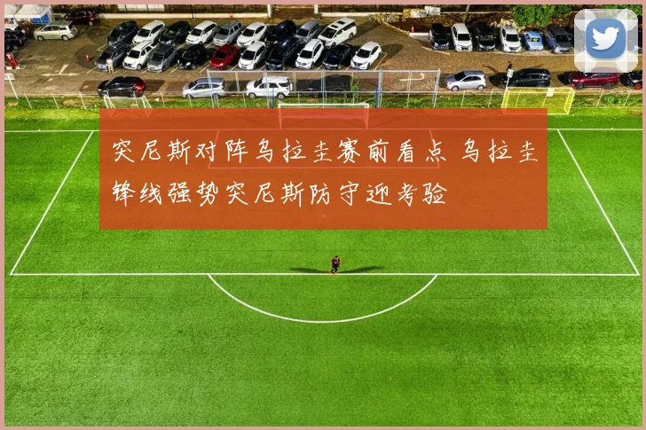 突尼斯对阵乌拉圭赛前看点 乌拉圭锋线强势突尼斯防守迎考验