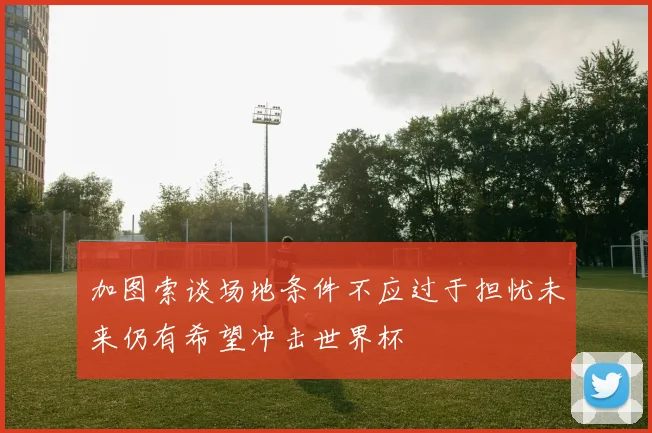 加图索谈场地条件不应过于担忧未来仍有希望冲击世界杯
